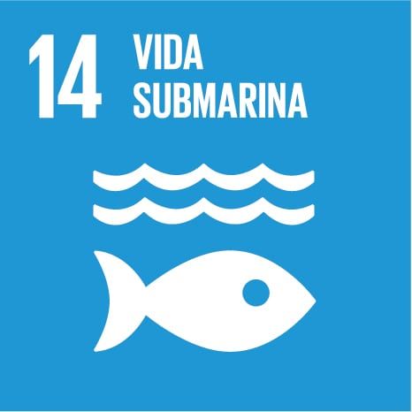 14. Vida submarina