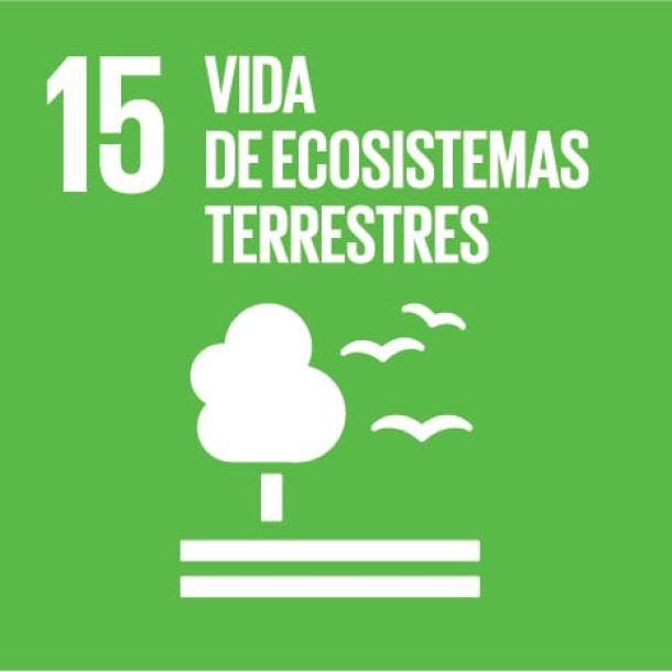 Ods 15 Gestionar sosteniblemente los bosques