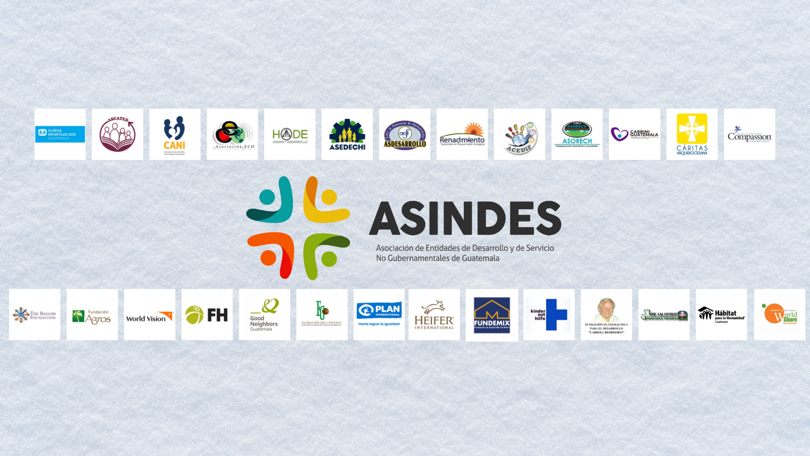 Asociadas a ASINDES 2024